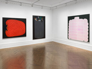 Raphaela Simon: Erdbeeren", installation view