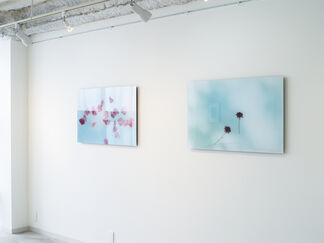 Keita Noguchi -FLOWER-, installation view