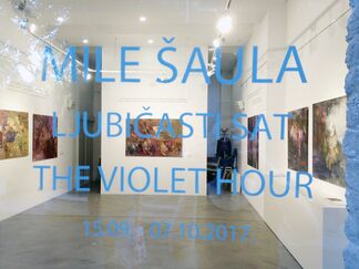 Mile Šaula: The Violet Hour, installation view