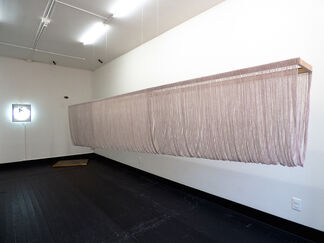 The Veil, installation view