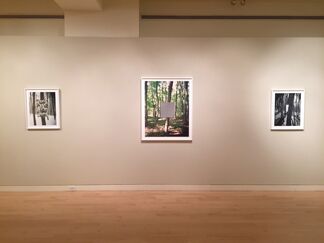 Into the Woods: Woodwork + Muse, installation view