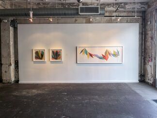 Chromatic Space, installation view