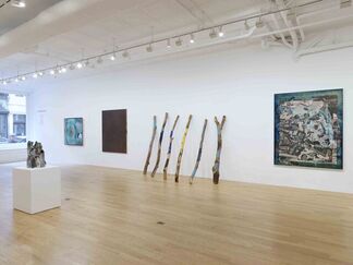 8 Americans, installation view