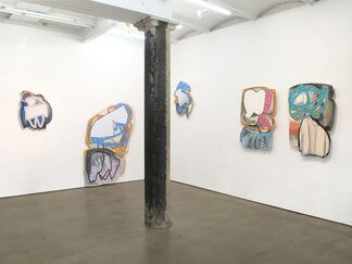 Justine Hill: They Just Behave Differently, installation view