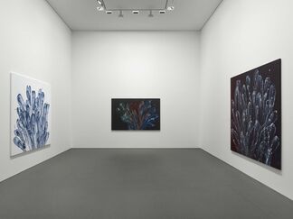 Dokoupil – Eruptions, installation view