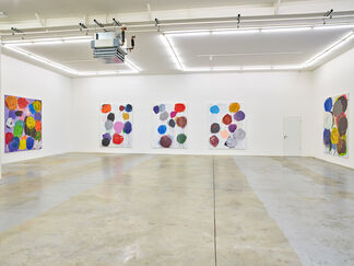 Franck Chalendard - Peindre, Cheminer, Peindre, installation view