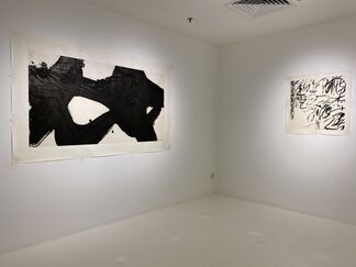 2020, The Way《悟道》- A Solo Exhibition of Wang Dongling， iPreciation, Singapore, installation view