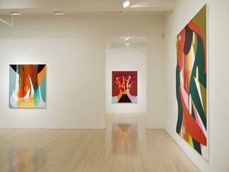 Carrie Moyer: Pagan's Rapture, installation view