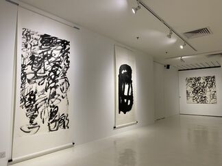 2020, The Way《悟道》- A Solo Exhibition of Wang Dongling， iPreciation, Singapore, installation view