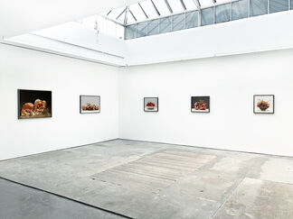 Luciano Ventrone | In Memoriam, installation view