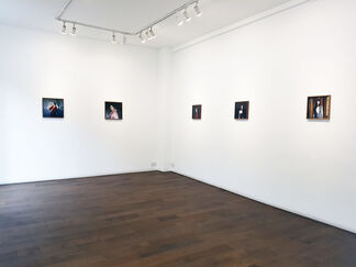 The Bird in Borrowed Feathers, installation view