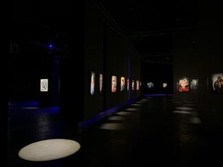 The World of Steve McCurry, installation view