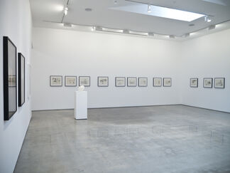 Patrick Angus, Looking, installation view