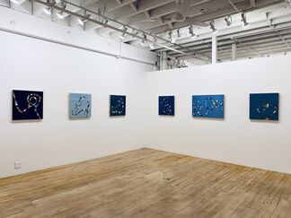 Kathy Cantwell: Around the Bend, installation view