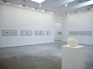 Patrick Angus, Looking, installation view