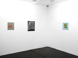 Kyoko Kanda, installation view