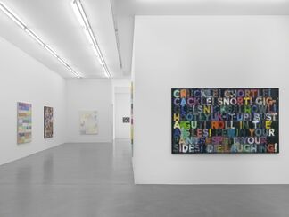 Mel Bochner: Going Out Of Business! (and other recent paintings on velvet), installation view