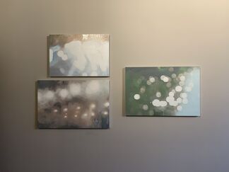 Clear Water, installation view