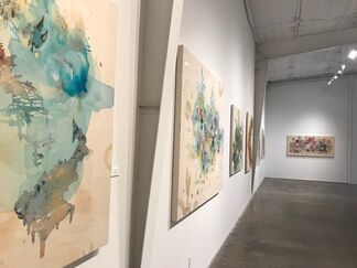 Lowell Boyers: Inscapes, installation view
