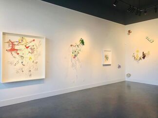 Leigh Anne Lester: No Necessary Time Axis on Evolutionary Novelties, installation view