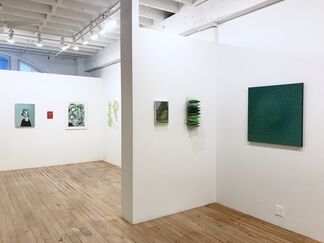 Green: The Impossible Color, installation view