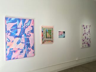 Just Give Me a Happy Middle, installation view