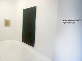 Eight Heads Tall, installation view
