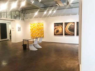 Eduardo Secci Contemporary at Dallas Art Show, installation view