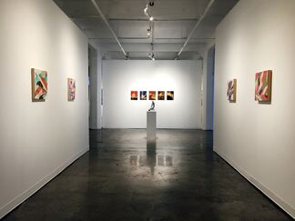 Geometric Complexions. Curated by Sergio Gomez, installation view