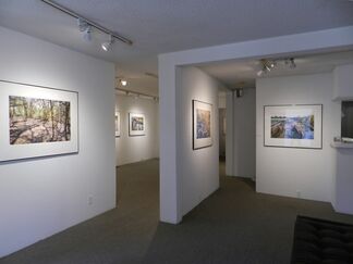 Luther Smith - Extraordinary / Ordinary, installation view
