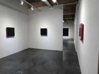 Transcending Colors, installation view