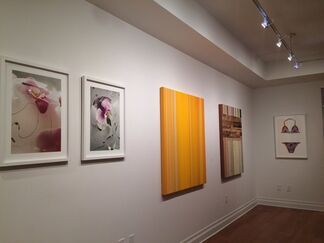 The Indian Summer Show, installation view