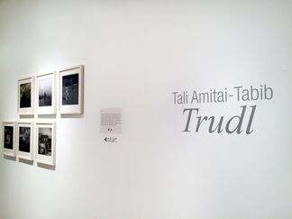 Tali Amitai-Tabib | Trudl, installation view