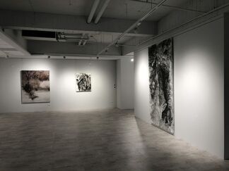The Muse of Taroko Gorge: Mei-Hui Lee Solo exhibition, installation view