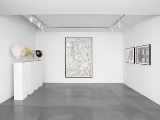 Viewing Room | Jim Shaw: Drawings, installation view