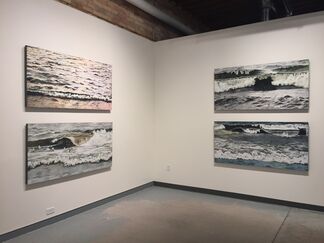 Elemental Forces and Other Work, installation view