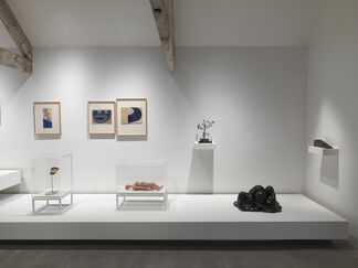 Unconscious Landscape. Works from the Ursula Hauser Collection, installation view