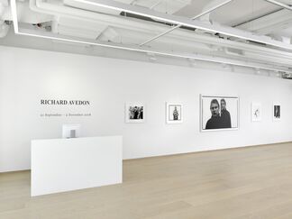 Richard Avedon, installation view