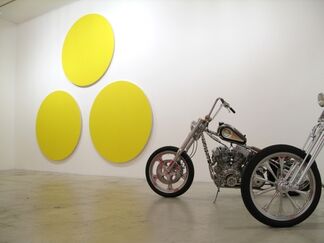 Olivier Mosset / Indian Larry, installation view