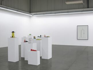 The Good Old Evolution, installation view