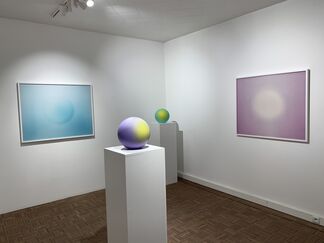 CONSUMED NOTIONS, installation view