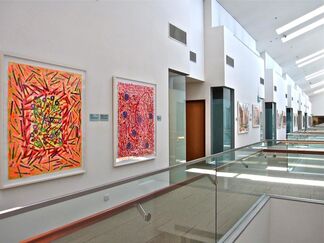 PACITA ABAD: SMU Collection, installation view