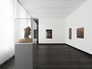 Christoph Brech - Überleben (Survival), installation view