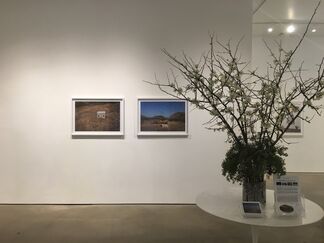 Somewhere Else, installation view