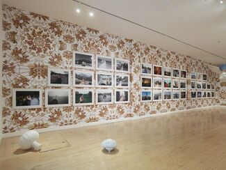 Ai Weiwei: Overrated, installation view