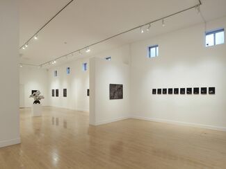 Speak to the Stones, and the Stars Answer, installation view