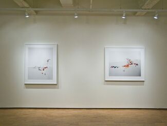 Laura Letinsky: Ill Form and Void Full, installation view
