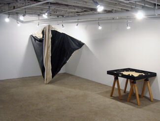 Steven Parrino - "Plan 9", installation view