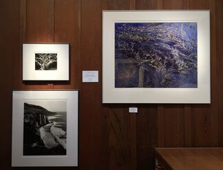 Point Lobos - The Greatest Meeting of Land and Sea, installation view
