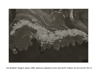 Koichiro Kurita's Meditations on Nature, installation view